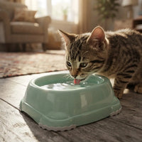 Plato Para Mascotas Smarty Bowl Chico 315 Ml Agua