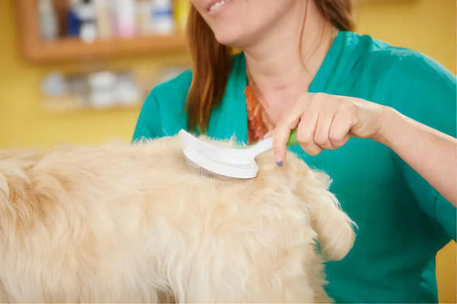 Cardina Para Perros O Gatos Andis Color Verde/blanco