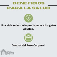 Alimento Virbac Adult Salmón Neutered & Entire De 7 Kg