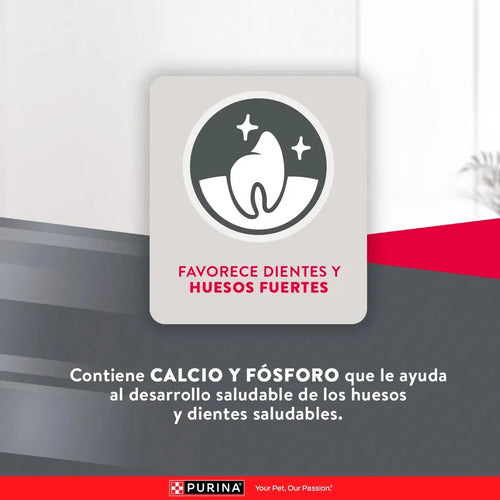 Croquetas Para Perro Cachorro Sabor Pollo Y Arroz 20kg Purina® Excellent®