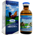 Bronquifur Expectorante Y Fluidificante 50 Ml Fiori