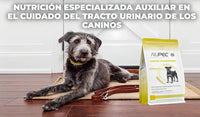 Nupec Dog Urinary 5kg | Prevención Cristales Orina