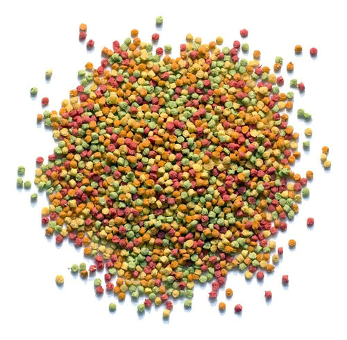 Alimento Premium+ Para Canario Croquetas Zupreem Fruit 907 G