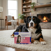 Chondroflex 525 Virbac Para Perro 25-40 Kg 30 Tabletas
