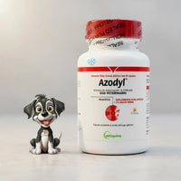 Azodyl Original Vetoquinol Frasco 90u. Con Hielera