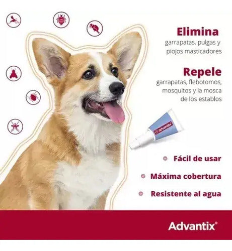 Advantix Pipeta Antipulgas Y Garrapatas Perros 10-25 Kg