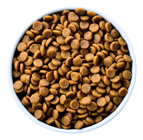 Alimento Hill's Prescription Diet Kidney Care Canine K/d Para Perro Adulto Todos Los Tamaños Sabor Pollo