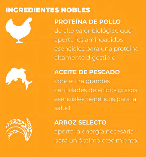 Nupec Felino Digestive Health 3kg | Salud Intestinal