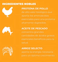 Nupec Felino Digestive Health 3kg | Salud Intestinal