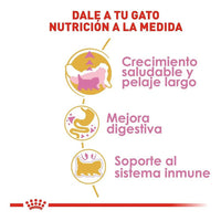 Royal Canin Persian Kitten 1.3kg