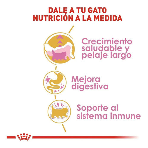Royal Canin Persian Kitten 1.3kg