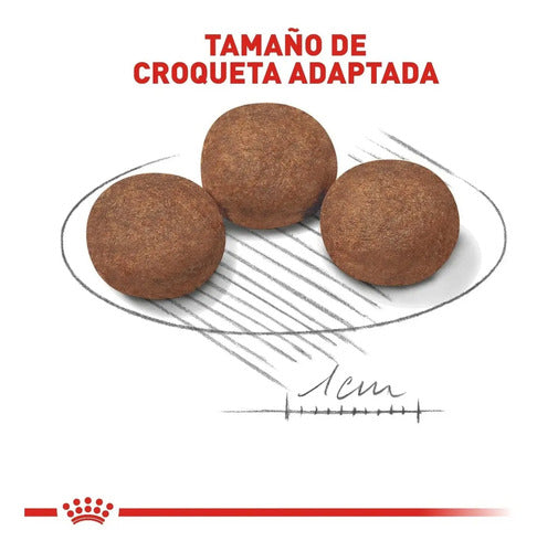 Royal Canin Medium Puppy 2.72 Kg Croquetas Perro