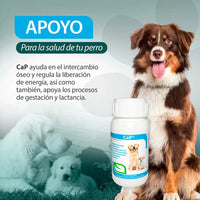 Ca-p Ruiland Vitaminas Minerales De Calcio Y Fósforo Suplemento Para Perros Frasco 60