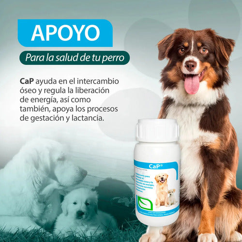 Ca-p Ruiland Vitaminas Minerales De Calcio Y Fósforo Suplemento Para Perros Frasco 60
