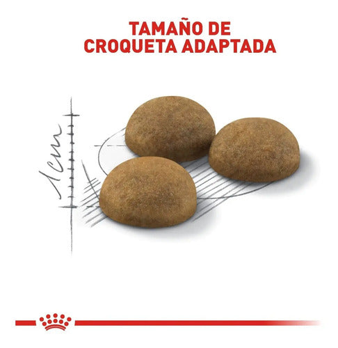 Royal Canin Indoor Cat Adult 3.18 Kg