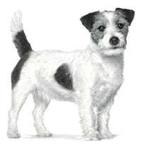 Royal Canin Vet Dental Dry Small Dog 4 Kg