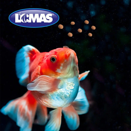 Alimento Lomas Para Peces Japonés Mini Pellets 50 G