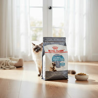 Alimento Royal Canin Hairball Gato Bolas De Pelo 2.73 Kg