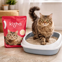 Kisha Arena Premium Para Gato Aglutinante Premium 3kg