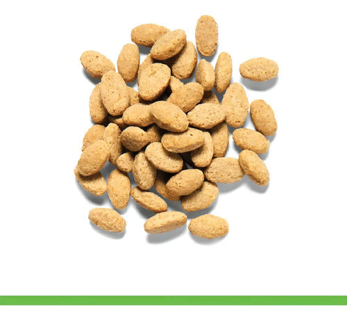 Alimento Premium Zupreem Para Ave Loro Grande Natural 1.36kg