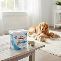 Leche Royal Puppy Protech 300grs