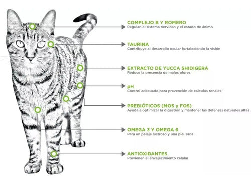 Nupec Felino Adulto Indoor Bolsa 3kg Sabor Pollo Salmón Y Arroz