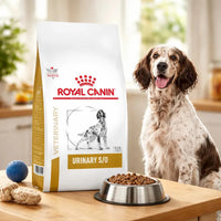Alimento Royal Canin Urinary S/o Para Perro Adulto De Raza Mediana Y Grande Sabor Mezcla