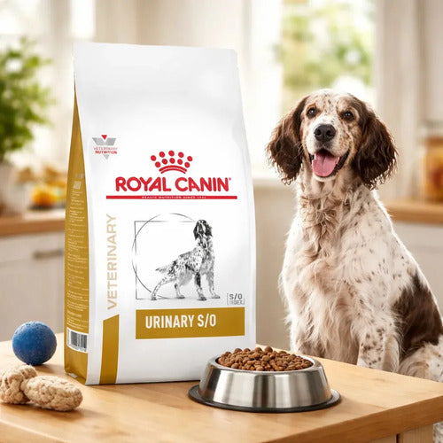 Alimento Royal Canin Urinary S/o Para Perro Adulto De Raza Mediana Y Grande Sabor Mezcla