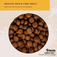 Alimento Back 2 Nature Alimento Holístico Piel Y Pelo Saludable Para Perro Adulto Todos Los Tamaños Sabor Cordero Y Salmón
