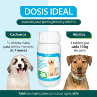 Ca-p Ruiland Vitaminas Minerales De Calcio Y Fósforo Suplemento Para Perros Frasco 60