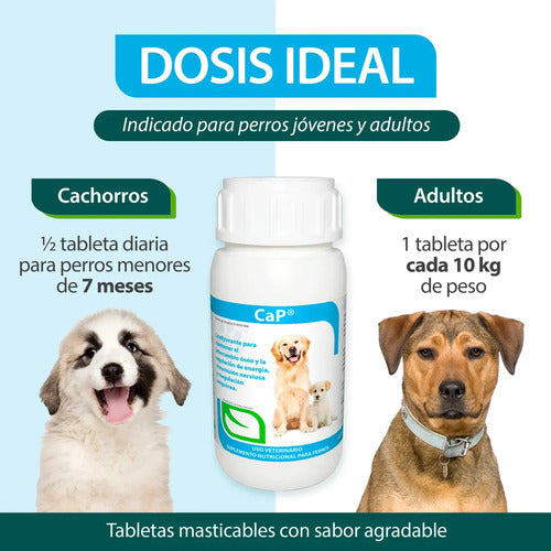 Ca-p Ruiland Vitaminas Minerales De Calcio Y Fósforo Suplemento Para Perros Frasco 60