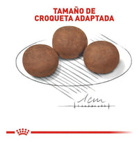 Royal Canin Medium Puppy 13.6 Kg Sellado