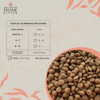 Feline Kitten 2kg Back 2 Nature Para Gatito