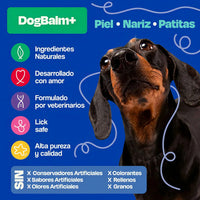 Dogelthy Bálsamo Hidratante Para Perros Patitas Nariz 50g Antirresequedad