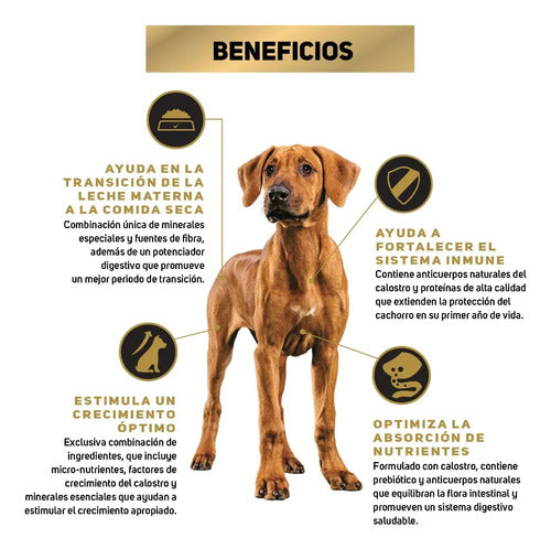 Alimento Perro Pro Plan Cachorro Razas Grandes 13 Kg Seca