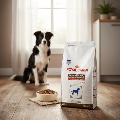 Alimento Perro Royal Canin Gastrointestinal High Energy 4 Kg