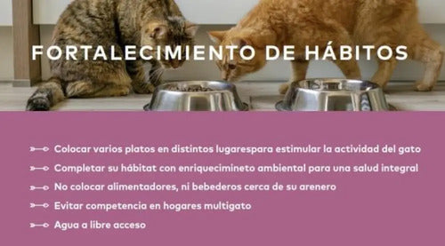 Back 2 Nature Feline Holístico Fórmula C/rana, Pavo Y Salmón