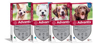 Advantix Pipeta Antipulgas Y Garrapatas Perros 10-25 Kg