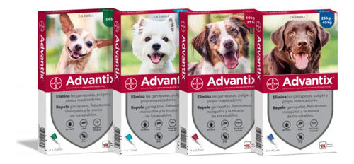 Advantix Pipeta Antipulgas Y Garrapatas Perros 10-25 Kg