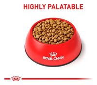 Alimento Royal Canin Calm Small Dog 4kg