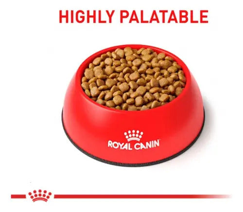 Alimento Royal Canin Calm Small Dog 4kg