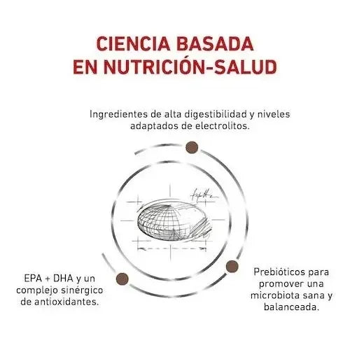 Alimento Royal Canin Veterinary Diet Canine Gastrointestinal High Energy Para Perro Adulto Todos Los Tamaños Sabor Mezcla