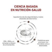 Alimento Royal Canin Veterinary Diet Canine Gastrointestinal High Energy Para Perro Adulto Todos Los Tamaños Sabor Mezcla
