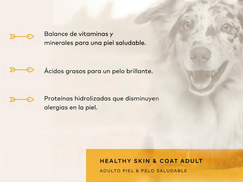 Alimento Back 2 Nature Alimento Holístico Piel Y Pelo Saludable Para Perro Adulto Todos Los Tamaños Sabor Cordero Y Salmón