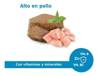 Alimento Humedo Nupec Bandeja Lata Perro Cachorro 100 G