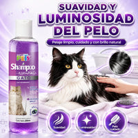 Shampoo Para Gato Essentials Fancy Pets 250 Ml, Limpieza Profunda Para Todo Tipo De Pelo, Suaviza, Hidrata, Ayuda Al Cepillado Y Deja Aroma A Mora Azul