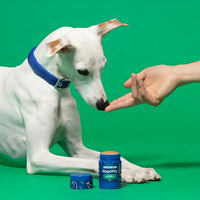 Dogelthy Bálsamo Hidratante Para Perros Patitas Nariz 50g Antirresequedad