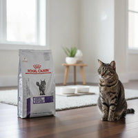 Royal Canin Dental Felino 8kg