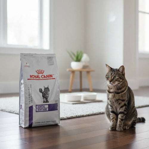 Royal Canin Dental Felino 8kg