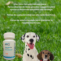 Vitajoint Pet Multivitaminico Para Perros 50 Tabletas
